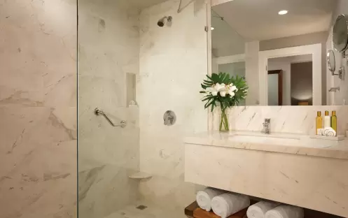Dreams Dominicus La Romana-Preferred Club Deluxe Pool View - Tropical View Bathroom_13008